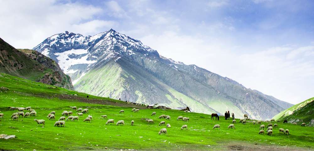 Jammu & Kashmir | Tourist Attraction | India Visa